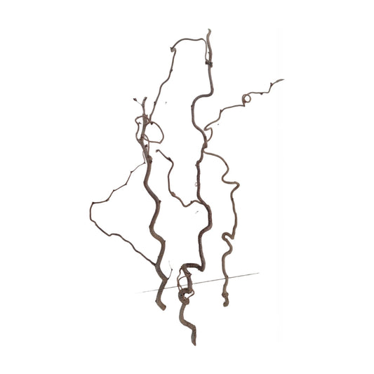 Krultak 70-80 cm set van 3 stuks