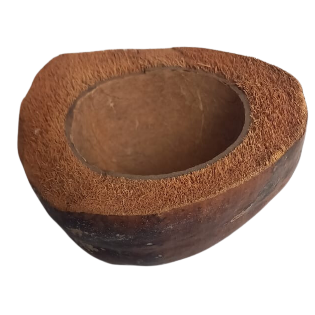 Kokosnootschaal