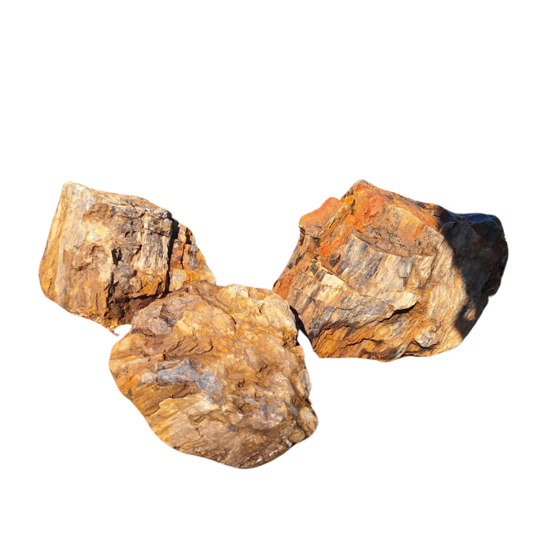 Versteinerter Rock