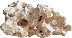 Hole Stone Gesteen voor Cichliden