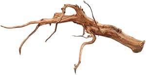 Red Spider King Wortel Hout