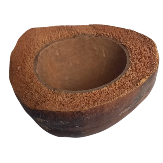 Kokosnootschaal