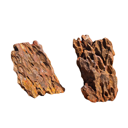 Dragon stone