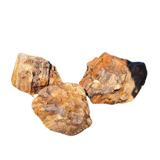Versteend Hout Bond