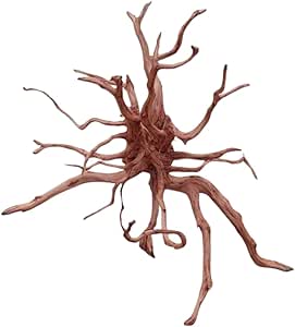 Red Spider King Wortel Hout