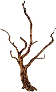 Red Spider King Wortel Hout